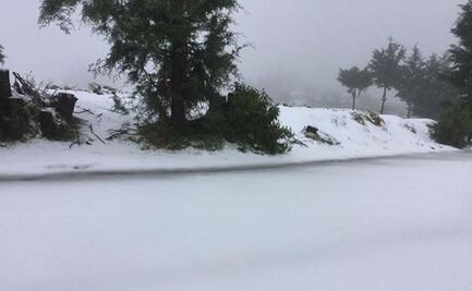 Nevada afecta a santuario de mariposa monarca