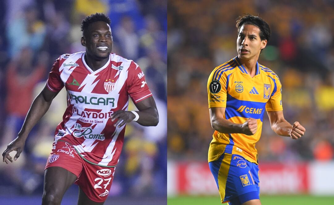 El duelo entre Necaxa y Tigres será transmitido por televisión abierta | FOTOS: Imago7