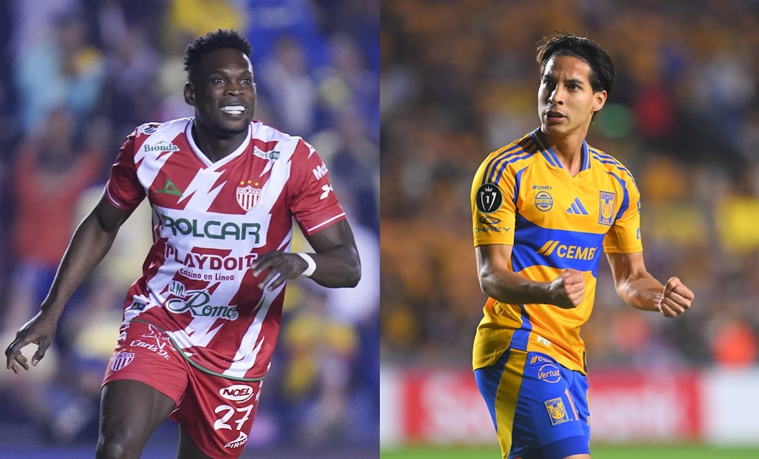El duelo entre Necaxa y Tigres será transmitido por televisión abierta | FOTOS: Imago7