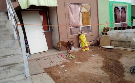 Agrede perro bull terrier a niño de 10 años en Aguascalientes