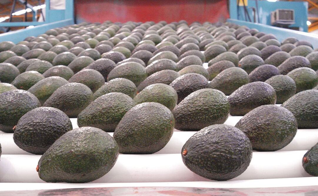 Foto: Archivo EL UNIVERSAL