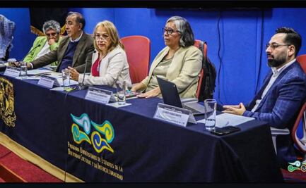 Comunidad gitana pide a San Lázaro reforma para obtener reconocimiento jurídico; acusa “invisibilización histórica”