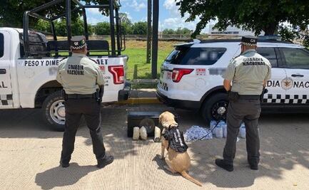 Guardia Nacional localiza 8 kilos de presunta droga en rollos de resorte y una bocina en Culiacán 