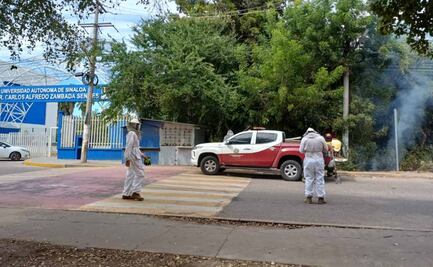 Abejas atacan a estudiantes de medicina en Sinaloa; seis resultaron con picaduras