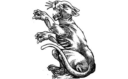 El pueblo no sabe nada, Andrés Manuel