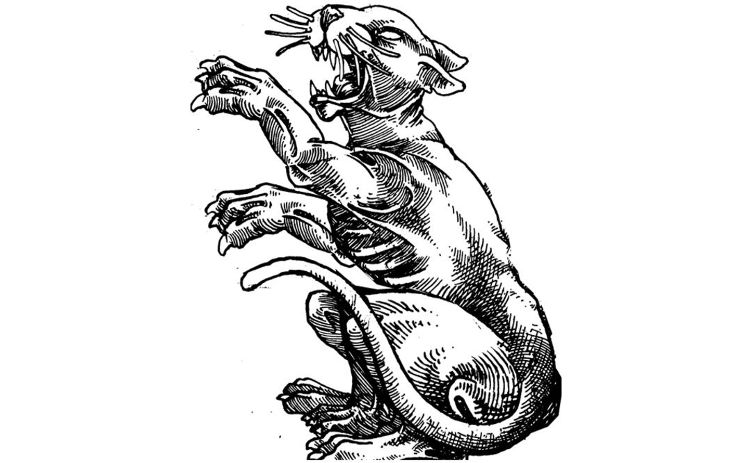 El pueblo no sabe nada, Andrés Manuel