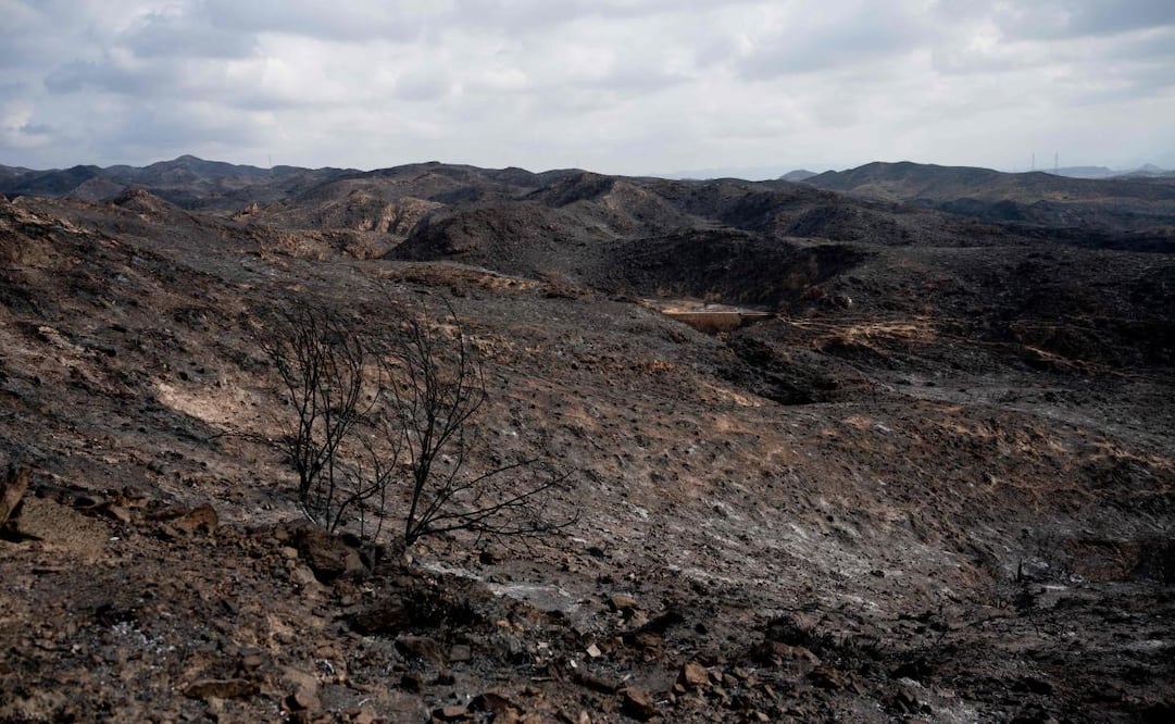 España estabiliza incendio en Almería