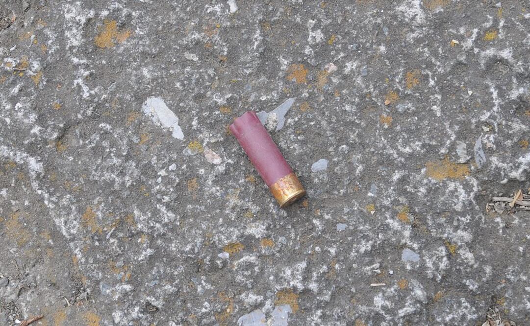 Foto: Archivo / EL UNIVERSAL