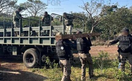 Aseguran tablones de madera protegida en la reserva de la biósfera San Andrés Tuxtla; investigan delitos contra el ambiente