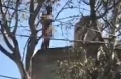 Joven muere tras caer desde azotea en Tlalnepantla