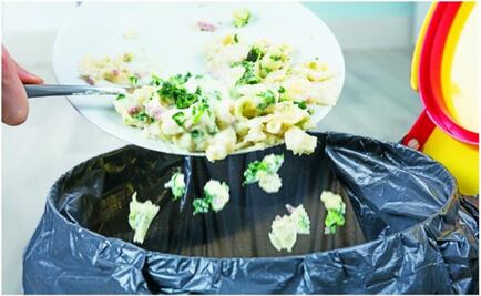 What to do with food waste?