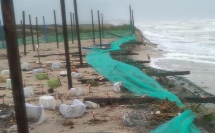 Reportan 35 mil huevos de tortuga Lora arrastrados por tormenta “Alberto” en Tamaulipas