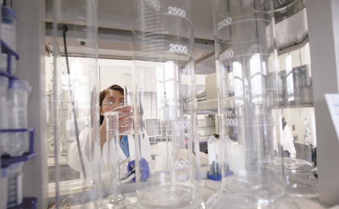 Imagen ilustrativa. Foto: Archivo El Universal