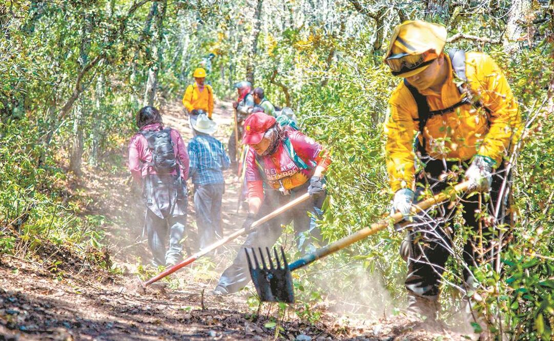 Personal de la Conafor trabaja de forma constante para frenar los incendios forestales en el país. Foto: Especial