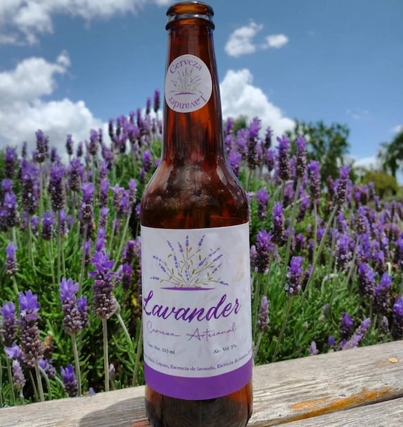 Foto: Rancho Lavanda