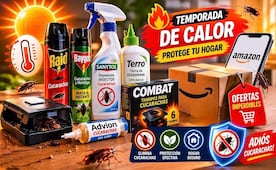 Adiós a las cucarachas; los productos más vendidos de Amazon México para combatirlas durante el calor