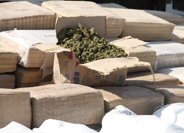 Aseguran 50 toneladas de distintas drogas durante marzo
