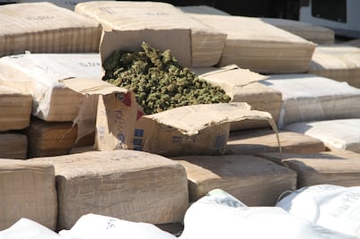 Aseguran 50 toneladas de distintas drogas durante marzo