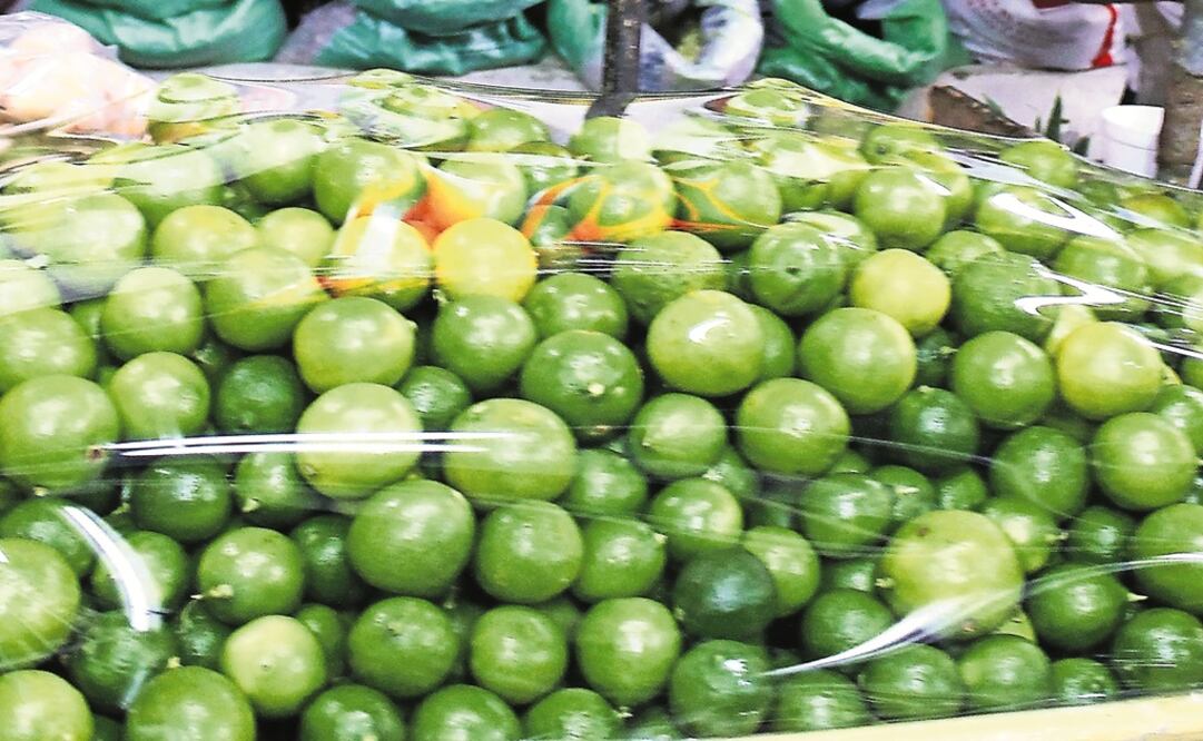 Foto: Archivo/ EL UNIVERSAL