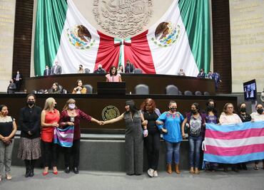 Diputadas denuncian violencia sistemática contra personas trans