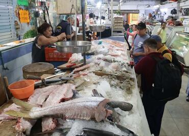 Semana Santa 2025: Suspenden 10 establecimientos en CDMX por vender mariscos en mal estado; te decimos cómo reconocer producto fresco