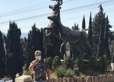 Investiga muerte de "Pepe", el toro de Atizapán