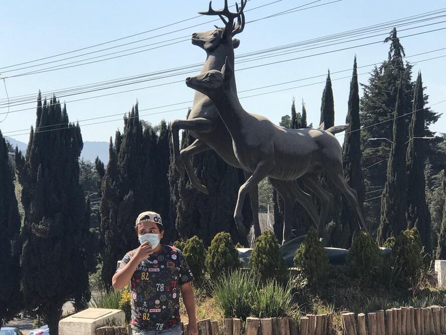 "Pepe" el toro murió el 10 de junio en inmediaciones del Parque de los Ciervos / FOTO: tomadas de redes sociales