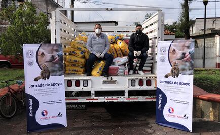 Por Covid-19, UNAM dona 33 toneladas de alimento para mascotas en CDMX