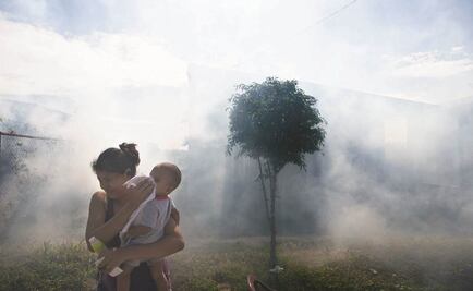 Chikungunya afecta a 10 estados del país: Ssa