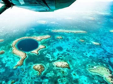 Belice: cómo viajar al Gran Agujero Azul, maravilla bajo el mar