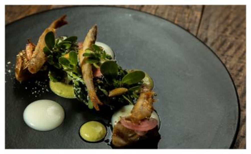 Si buscas una opción de comida michoacana, Seneri te va a encantar