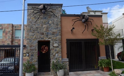 Ladrones devuelven “araña gigante” con mensaje de disculpas en Nuevo León