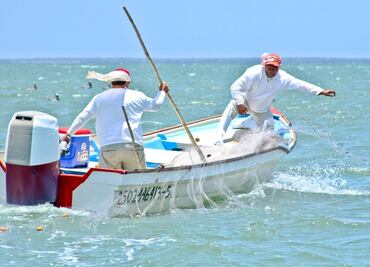 Semar se incorpora a tareas de vigilancia para combatir pesca ilegal
