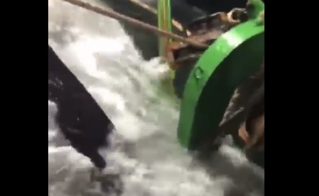 Foto: captura de video