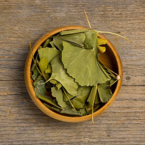 Quiénes no pueden consumir Ginkgo Biloba. Fuente: Freepik