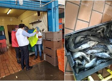 Tras operativo en La Nueva Viga, destruyen 35 kg de pescados y mariscos en malas condiciones