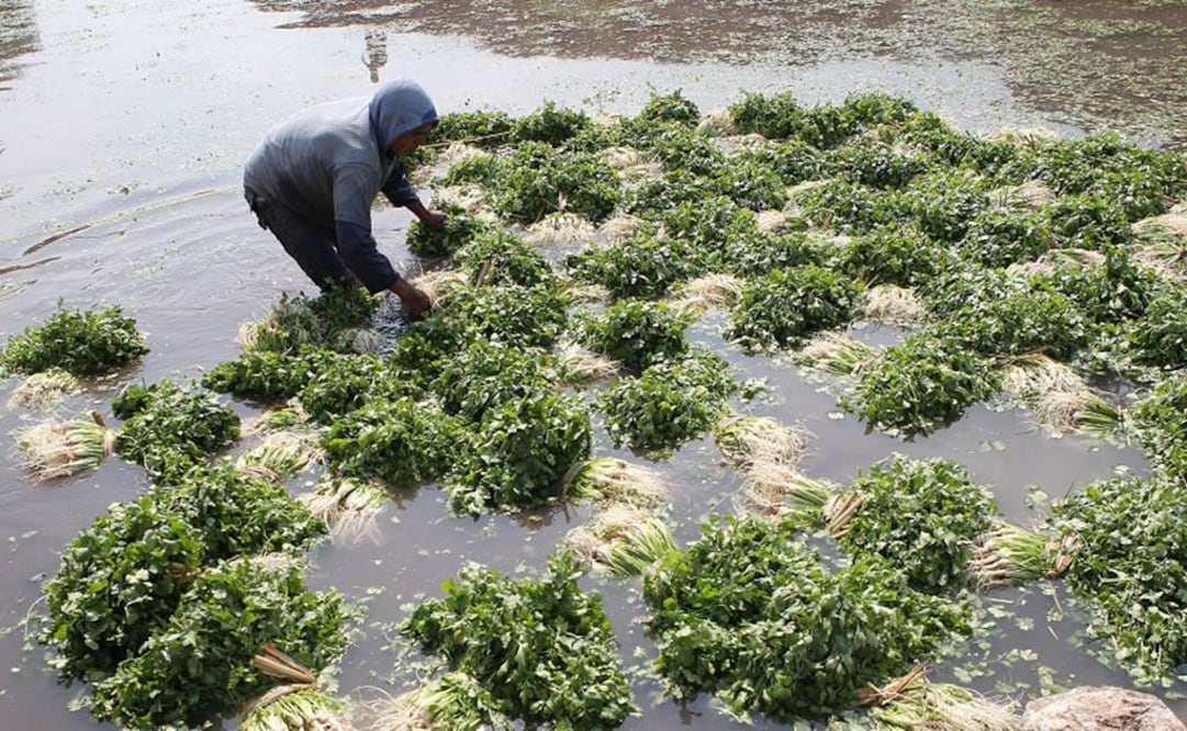 Ariel Ojeda / EL UNIVERSAL