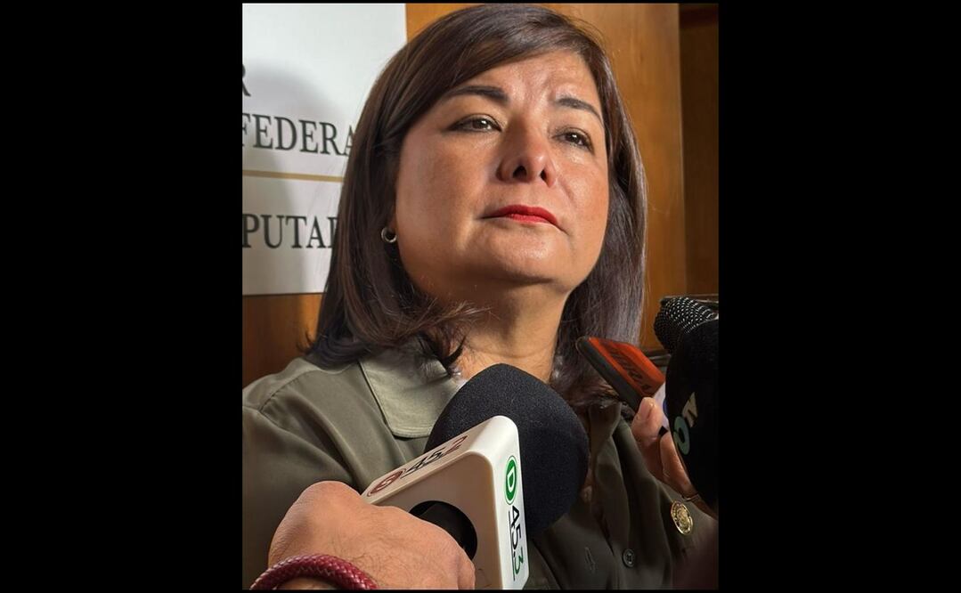 Diputada federal Meggie Salgado Ponce