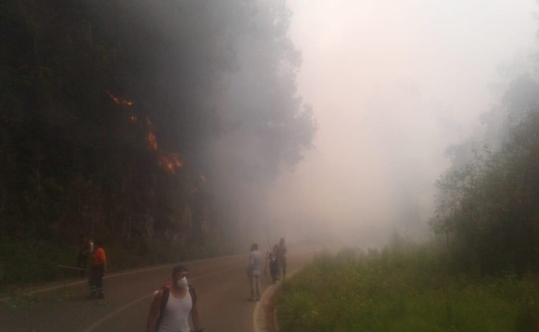El fuego ocasionó el cierre de la carretera Tenango-Metepec debido a que el humo impidió la visibilidad de los vehículos. Foto: Especial