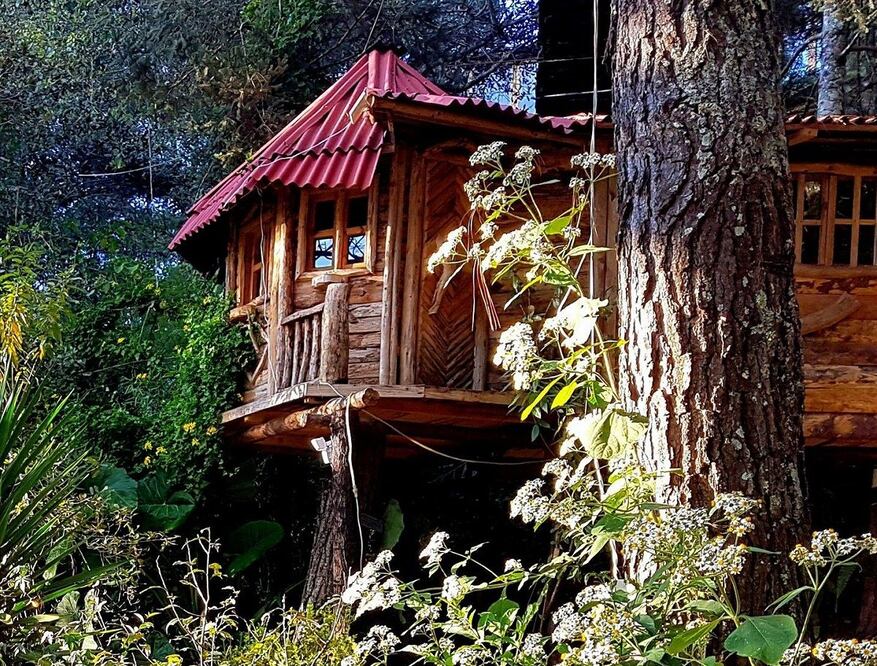 Cabañas como las de Tlatempa ofrecen una gran vista y cercanía con atractivos naturales. / Foto: cabañas-campamento-tlatempa
