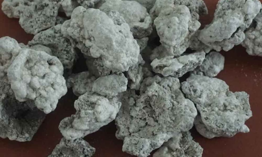 Recuperar el uso del tequesquite también es proteger la herencia culinaria del país. Foto: Biblioteca Conjunta de Ciencias de la Tierra, UNAM