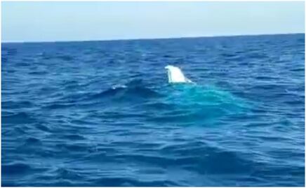 Embarcación se hunde en Celestún, Yucatán y desaparecen dos pescadores; rescatan a 3