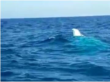 Embarcación se hunde en Celestún, Yucatán y desaparecen dos pescadores; rescatan a 3