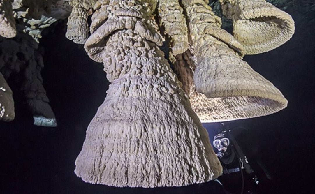 Un equipo de espeleobuceo compuesto por científicos alemanes y mexicanos exploró el cenote por primera vez recolectando muestras de las "campanas" y del agua que las rodeaba. (FOTOS: Carters News Agency)