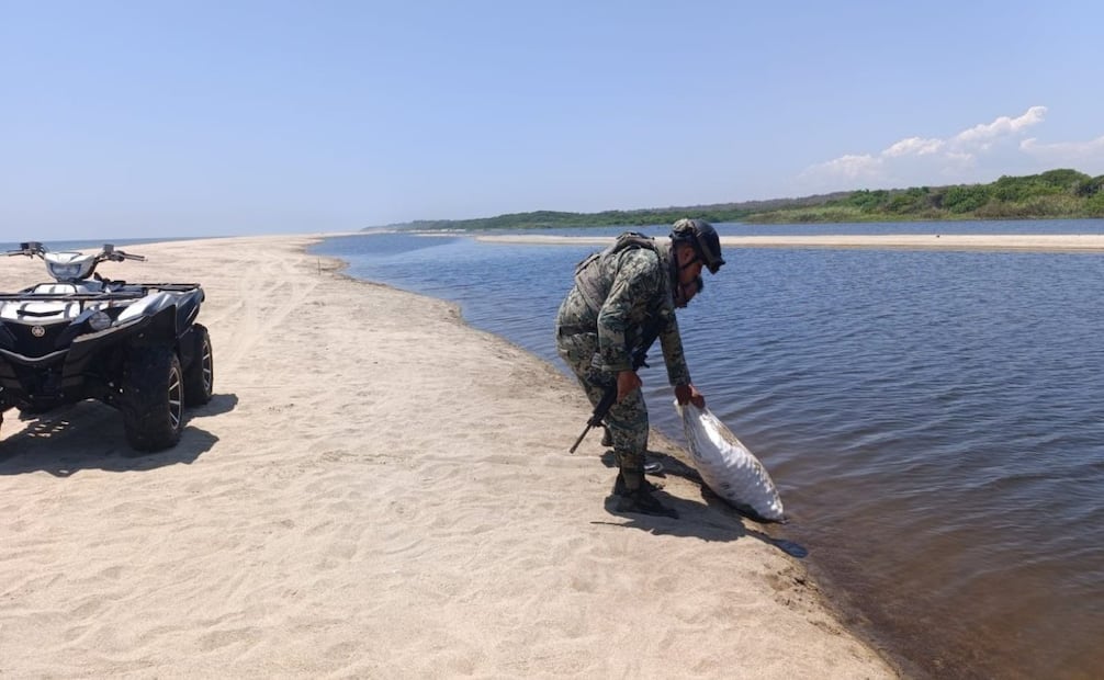 Elementos de la Secretaría de Marina recuperaron dos mil huevos de tortuga golfina, en las costas de Oaxaca. Foto: Semar