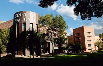 Las seis películas de terror que llegan a la Cineteca de las Artes y que no te debes perder