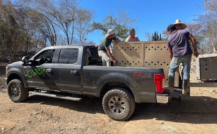 Mantienen operativo de búsqueda de camioneta despojada a rescatistas de animales en Sinaloa; fue robada por grupo armado
