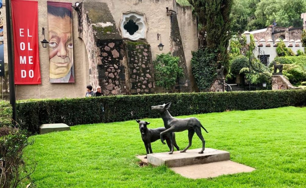 El Museo Dolores Olmedo también incluye esculturas y fotografías. Foto: Gobierno de México