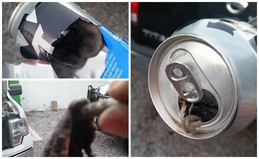 Foto: Tomada del Facebook Gilberto Haro Martinez