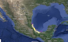Mapa de sitios afectados por derrame de petróleo en Veracruz y Tabasco; tortuga, delfín y pelicano entre las especies afectadas